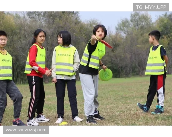 武汉飞盘队运营分析:成功经验与面临挑战的深度探讨 武汉飞盘队运营分析:成功经验与面临挑战的深度探讨