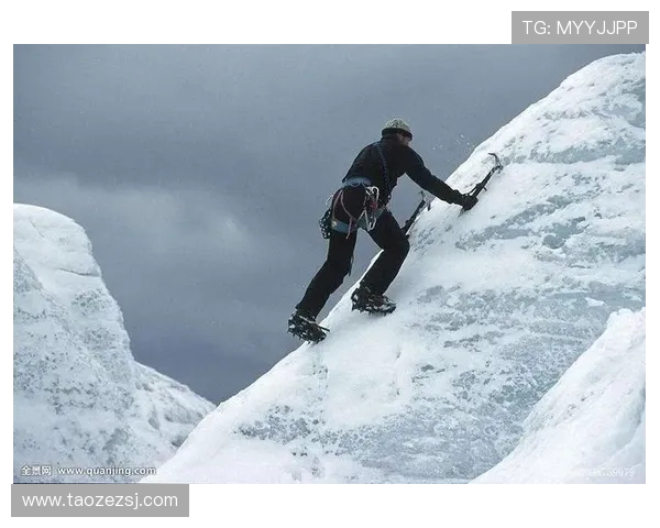 西安极限运动队战术分析与表现评估全景解读 西安极限运动队战术分析与表现评估全景解读
