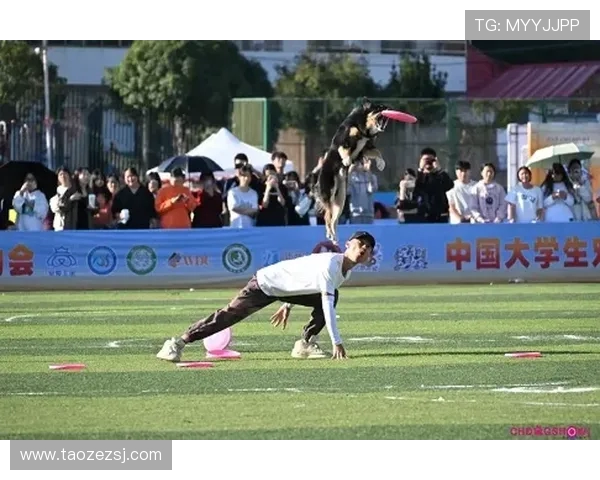 南京飞盘队的奋斗历程与马拉松大满贯的激情碰撞