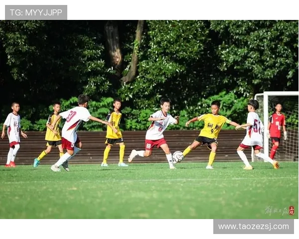 杭州与北京足球队的耐力较量赛后分析与反思